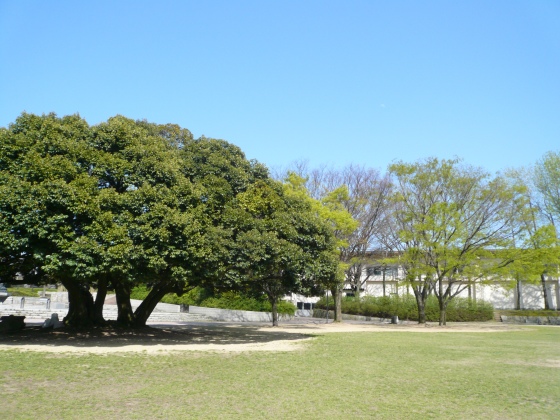 733-4